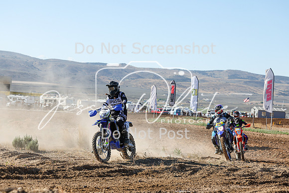 IMG_0240-342v