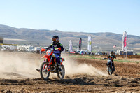 IMG_0245-527v