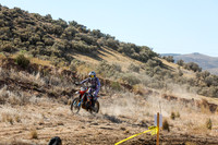 IMG_0265-350v