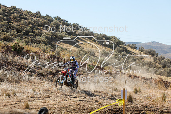 IMG_0265-350v