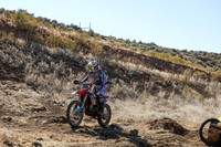 IMG_0268-350v