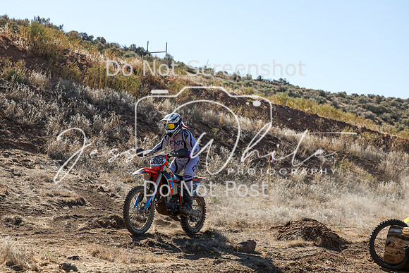 IMG_0268-350v