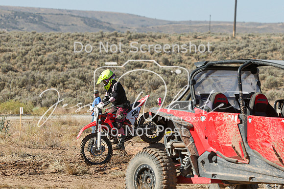 IMG_0290-474v