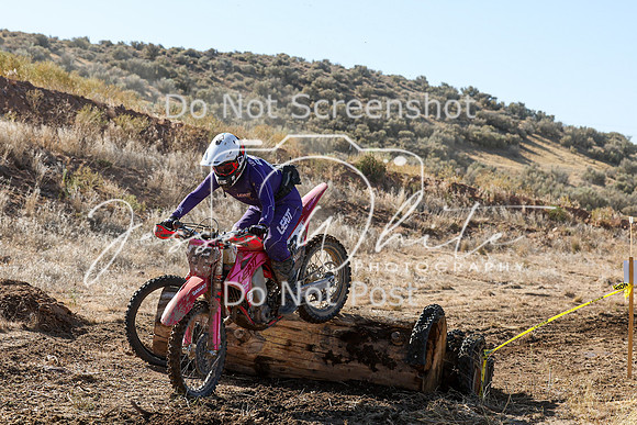 IMG_0281-82v
