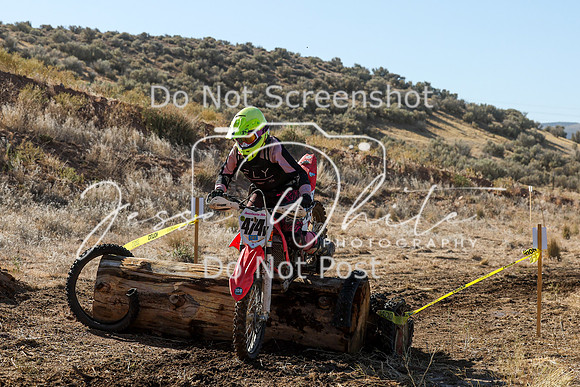 IMG_0293-474v