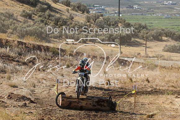 IMG_0307-513v