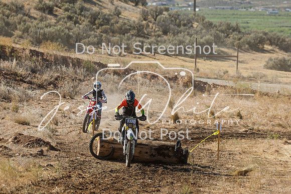 IMG_0310-513v
