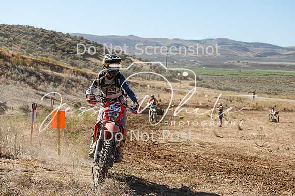 IMG_0312-428v