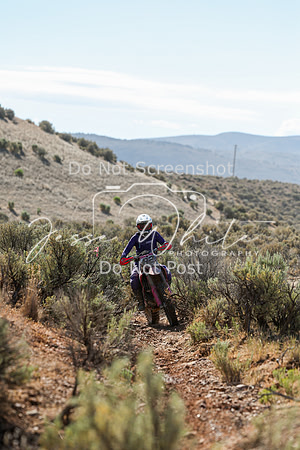 IMG_0341-82v