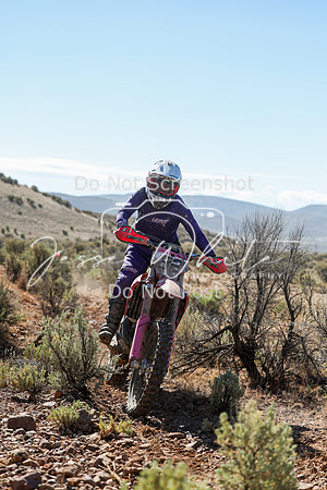 IMG_0350-82v