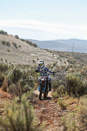 IMG_0355-350v