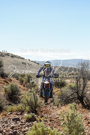 IMG_0360-350v