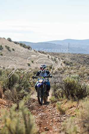 IMG_0365-214v