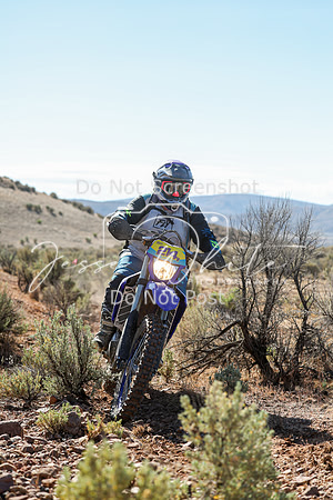 IMG_0371-214v