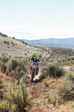 IMG_0374-474v