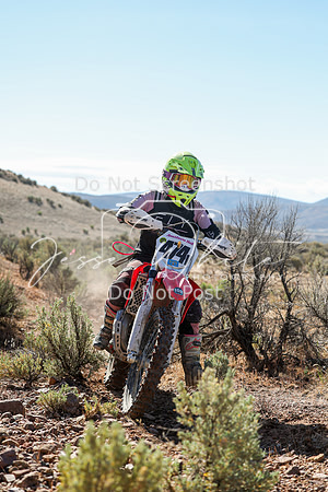 IMG_0380-474v