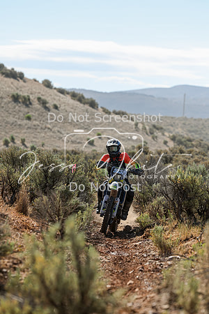 IMG_0383-513v