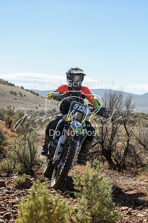 IMG_0388-513v