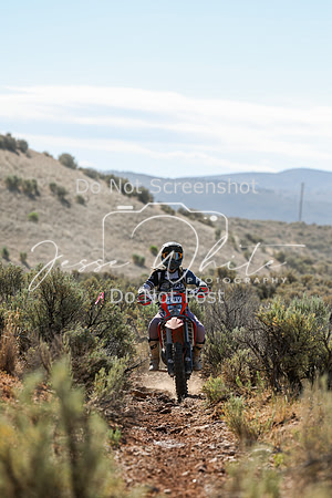 IMG_0392-428v