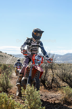 IMG_0399-428v