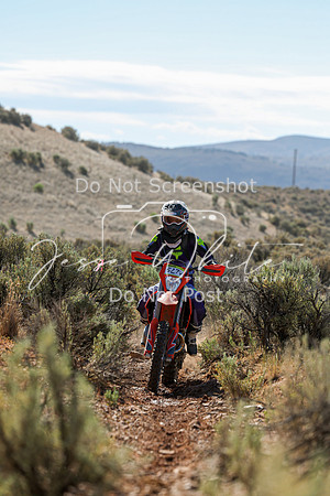 IMG_0416-527v