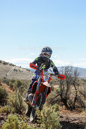 IMG_0420-527v