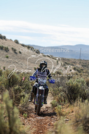 IMG_0425-342v