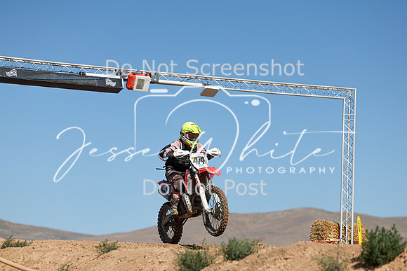 IMG_0439-474v