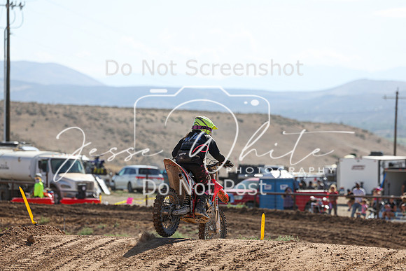 IMG_0443-474v