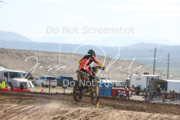 IMG_0463-513v