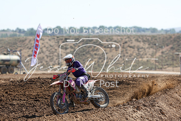 IMG_0474-82v