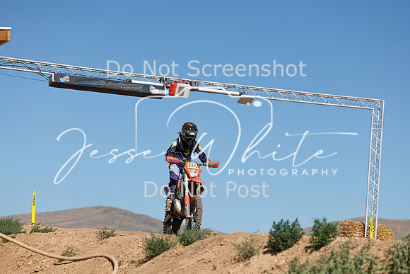 IMG_0482-527v
