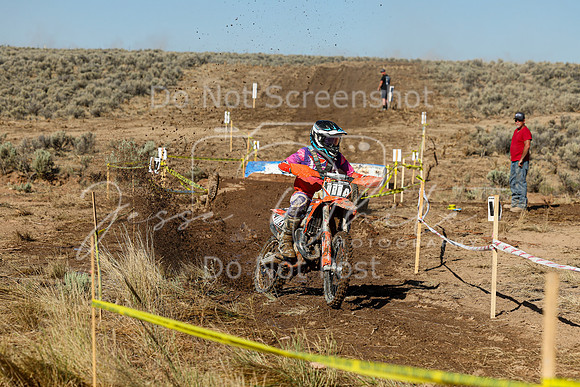 IMG_1618-111a