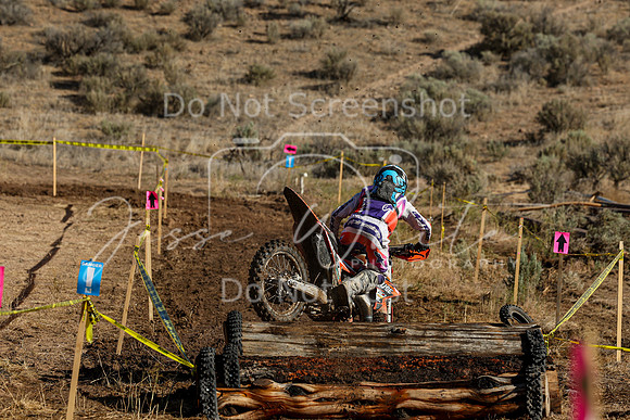 IMG_1623-111a
