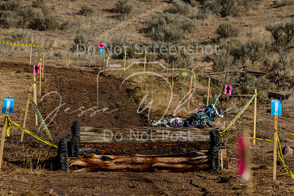 IMG_1625-111a