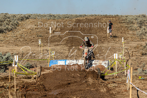 IMG_1645-
