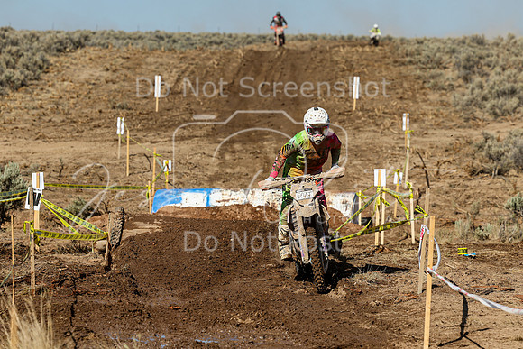 IMG_1668-507t
