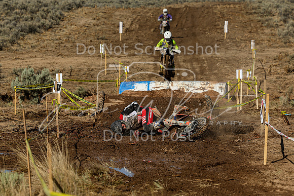 IMG_1682-744p