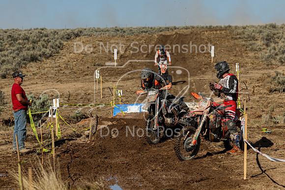 IMG_1709-393t