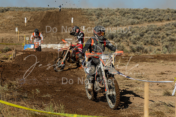 IMG_1715-393t