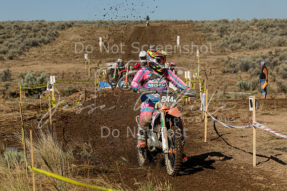 IMG_1803-244n