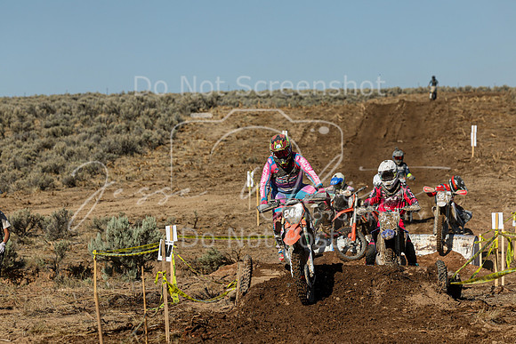 IMG_1801-244n