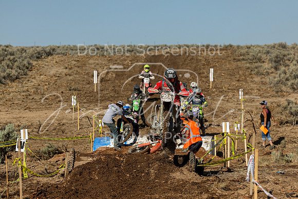 IMG_1812-324n