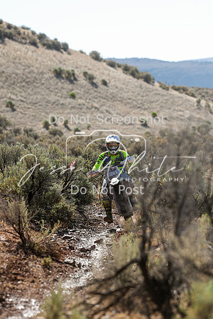 IMG_1921-827t
