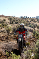 IMG_1919-211n