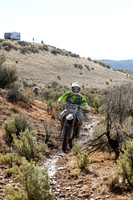 IMG_1924-827t