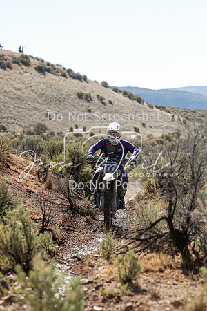 IMG_1950-777x