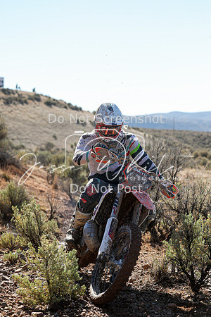 IMG_1977-427p