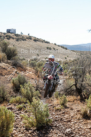 IMG_1974-427p