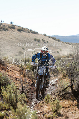 IMG_1997-16t
